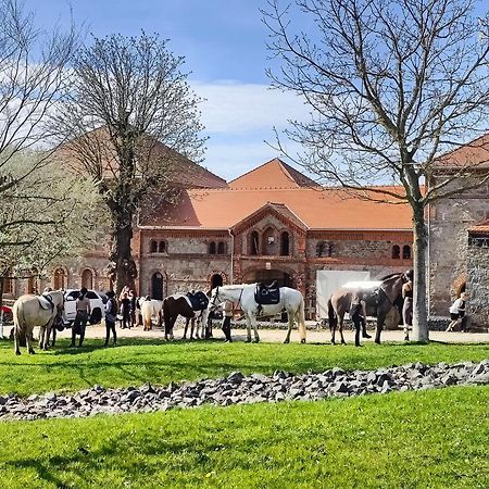 Willa Tinyhousebeidresden 3 Fuer 2 - 7 Personen, Naehe Saechsische Schweiz, Dresden, Mit Badeteich Großharthau Zewnętrze zdjęcie