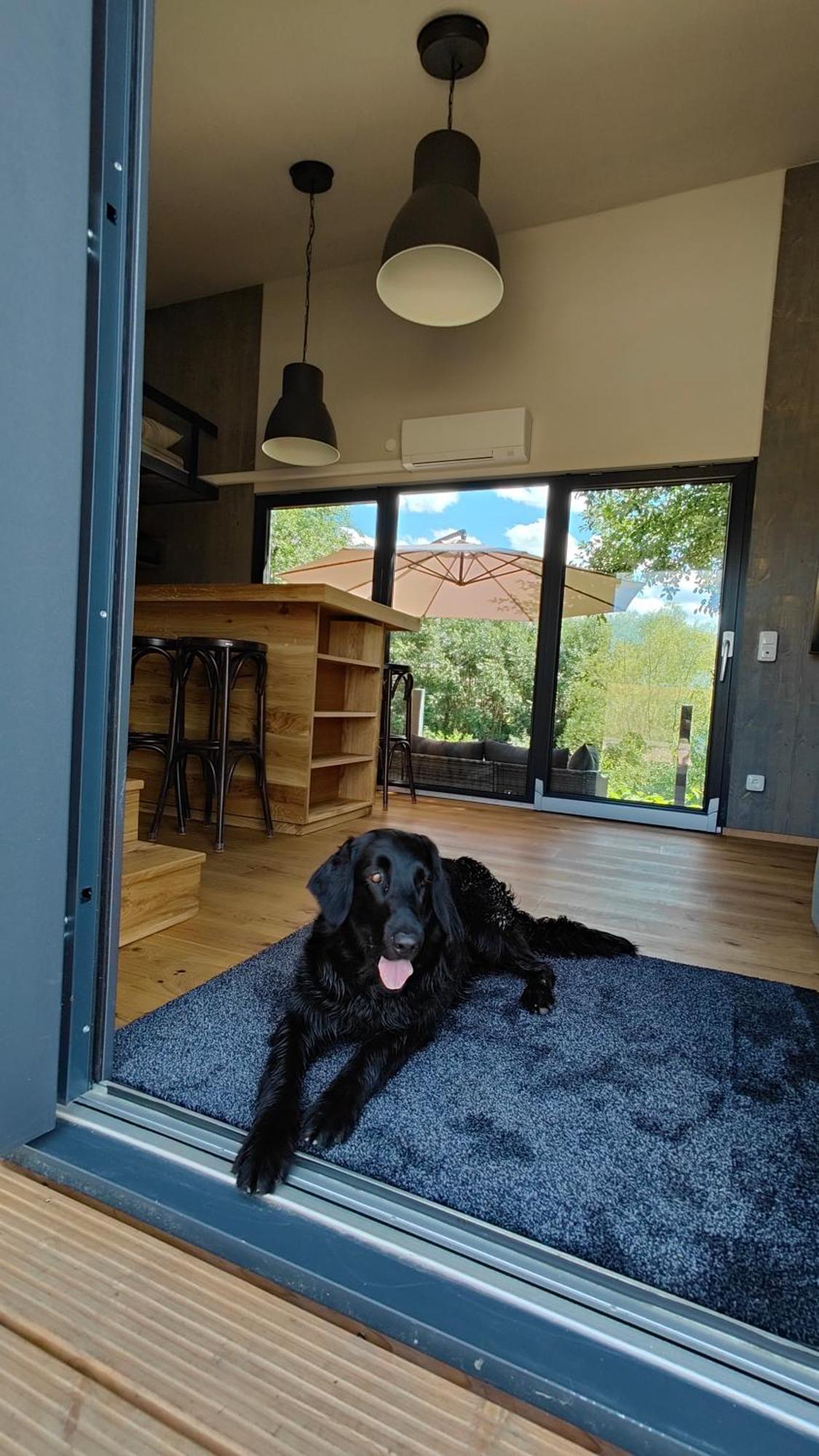 Willa Tinyhousebeidresden 3 Fuer 2 - 7 Personen, Naehe Saechsische Schweiz, Dresden, Mit Badeteich Großharthau Zewnętrze zdjęcie